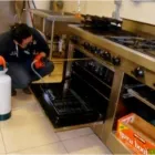 La imagen 13 de la Empresa FUMIGACIONES IR en Torreón COA