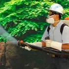 La imagen 1 de la Empresa FUMIGACIONES PROFESIONALES TARAHUMARA Servicios Profesionales y de Negocios en Ciudad Juárez CHH