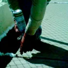 La imagen 3 de la Empresa FUMIGACIONES PROFESIONALES TARAHUMARA Servicios Profesionales y de Negocios en Ciudad Juárez CHH