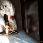 La imagen 2 de la Empresa FUMIGACIONES QUINTANA Servicios Profesionales y de Negocios en Reynosa TAM
