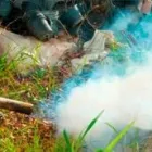 La imagen 3 de la Empresa FUMIGACIONES QUINTANA Servicios Profesionales y de Negocios en Reynosa TAM