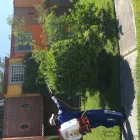 La imagen 3 de la Empresa FUMIGACIONES Y CONTROL DE PLAGAS Servicios Profesionales y de Negocios en Cuernavaca MOR
