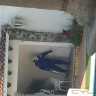 La imagen 5 de la Empresa FUMIGACIONES Y CONTROL DE PLAGAS Servicios Profesionales y de Negocios en Cuernavaca MOR