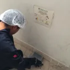 La imagen 6 de la Empresa FUMIGACIONES Y CONTROL DE PLAGAS Servicios Profesionales y de Negocios en Cuernavaca MOR