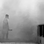 La imagen 2 de la Empresa FUMIGADORA DEL CENTRO Servicios Profesionales y de Negocios en Irapuato GUA