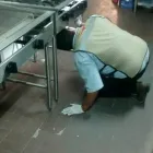 La imagen 2 de la Empresa FUMIGRAL Servicios Profesionales y de Negocios en Chihuahua MEX