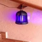 La imagen 1 de la Empresa FUMIGRAM Servicios Profesionales y de Negocios en Cuernavaca MOR