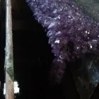 La imagen 2 de la Empresa FUNOFEC SA DE CV Servicios Profesionales y de Negocios en Tizayuca HID