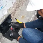 La imagen 2 de la Empresa G&M CONTROL INTEGRAL DE PLAGAS Servicios Profesionales y de Negocios en Tultitlán De Mariano Escobedo MEX