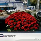 La imagen 1 de la Empresa GALERIA FLORAL Industrias y Agricultura en Querétaro QUE