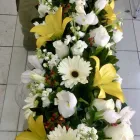 La imagen 3 de la Empresa GALERIA FLORAL Industrias y Agricultura en Querétaro QUE