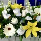 La imagen 7 de la Empresa GALERIA FLORAL Industrias y Agricultura en Querétaro QUE