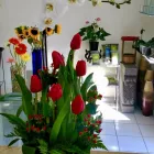 La imagen 28 de la Empresa GALERIA FLORAL Industrias y Agricultura en Querétaro QUE