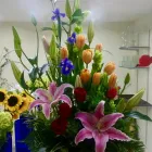 La imagen 30 de la Empresa GALERIA FLORAL Industrias y Agricultura en Querétaro QUE