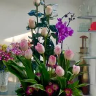La imagen 41 de la Empresa GALERIA FLORAL Industrias y Agricultura en Querétaro QUE