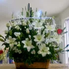 La imagen 42 de la Empresa GALERIA FLORAL Industrias y Agricultura en Querétaro QUE