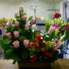 La imagen 48 de la Empresa GALERIA FLORAL Industrias y Agricultura en Querétaro QUE