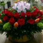 La imagen 49 de la Empresa GALERIA FLORAL Industrias y Agricultura en Querétaro QUE