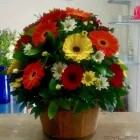 La imagen 75 de la Empresa GALERIA FLORAL Industrias y Agricultura en Querétaro QUE