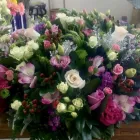 La imagen 86 de la Empresa GALERIA FLORAL Industrias y Agricultura en Querétaro QUE