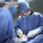 La imagen 2 de la Empresa GASTROENTEROLOGO Salud y Medicina en Ciudad Juárez CHH