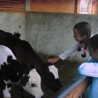 La imagen 3 de la Empresa GRANJA ZAVALETA Organización y Realización de Fiestas y Eventos en Santa Cruz Buenavista PUE