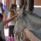 La imagen 4 de la Empresa GRANJA ZAVALETA Organización y Realización de Fiestas y Eventos en Santa Cruz Buenavista PUE