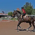 La imagen 7 de la Empresa GRANJA ZAVALETA Organización y Realización de Fiestas y Eventos en Santa Cruz Buenavista PUE