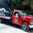 La imagen 2 de la Empresa GRÚAS IMPACTO Servicios Profesionales y de Negocios en Cancún ROO