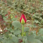 La imagen 2 de la Empresa GRUPO AIBTA SA Sistemas hidráulicos y neumáticos en Ocotlán JAL