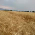 La imagen 3 de la Empresa GRUPO AIBTA SA Sistemas hidráulicos y neumáticos en Ocotlán JAL