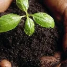 La imagen 9 de la Empresa GRUPO GAP RECICLAJE ORGÁNICO Servicios Profesionales y de Negocios en San Pedro Garza García NLE