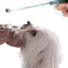 La imagen 2 de la Empresa GUZMÁN TELLEZ CLÍNICA VETERINARIA Salud y Medicina en Xalapa VER