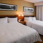 La imagen 6 de la Empresa HAMPTON INN BY HILTON PIEDRAS NEGRAS Transportes y Turismo en Piedras Negras COA