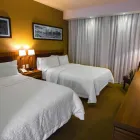 La imagen 19 de la Empresa HAMPTON INN BY HILTON PIEDRAS NEGRAS Transportes y Turismo en Piedras Negras COA