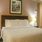 La imagen 20 de la Empresa HAMPTON INN BY HILTON TAMPICO ZONA DORADA Transportes y Turismo en Tampico TAM