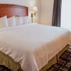 La imagen 10 de la Empresa HAMPTON INN BY HILTON TORREON-AIRPORT GALERIAS Transportes y Turismo en Torreon COA