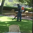 La imagen 2 de la Empresa HIGH LEVEL ADMINISTRACIÒN Y BIENES RAICES Servicios Profesionales y de Negocios en Azcapotzalco MEX