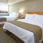 La imagen 19 de la Empresa HOLIDAY INN CUERNAVACA Transportes y Turismo en Cuernavaca MOR