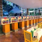 La imagen 62 de la Empresa HOLIDAY INN CUERNAVACA Transportes y Turismo en Cuernavaca MOR