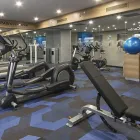 La imagen 21 de la Empresa HOLIDAY INN EXPRESS MEXICO - TOREO Transportes y Turismo en Naucalpan CMX