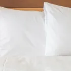 La imagen 32 de la Empresa HOLIDAY INN EXPRESS & SUITES CUERNAVACA Transportes y Turismo en Cuernavaca MOR