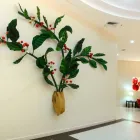 La imagen 34 de la Empresa HOLIDAY INN EXPRESS TAPACHULA Transportes y Turismo en Tapachula CHP