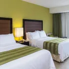 La imagen 61 de la Empresa HOLIDAY INN EXPRESS XALAPA Transportes y Turismo en Xalapa VER