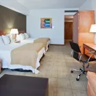 La imagen 51 de la Empresa HOLIDAY INN IRAPUATO Transportes y Turismo en Irapuato GUA