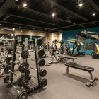 La imagen 48 de la Empresa HOLIDAY INN MEXICO BUENAVISTA Transportes y Turismo en Ciudad De México CMX