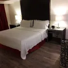 La imagen 54 de la Empresa HOLIDAY INN MEXICO BUENAVISTA Transportes y Turismo en Ciudad De México CMX