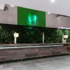 La imagen 71 de la Empresa HOLIDAY INN MEXICO BUENAVISTA Transportes y Turismo en Ciudad De México CMX