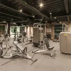 La imagen 74 de la Empresa HOLIDAY INN MEXICO BUENAVISTA Transportes y Turismo en Ciudad De México CMX