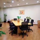 La imagen 8 de la Empresa HOLIDAY INN MEXICO COYOACAN Transportes y Turismo en Ciudad De México CMX